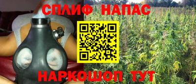 гашик Апрелевка